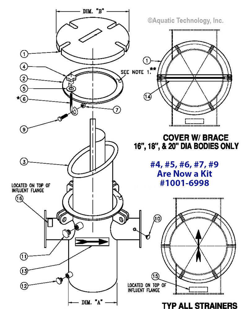 Neptune Benson Guardian Strainer Parts