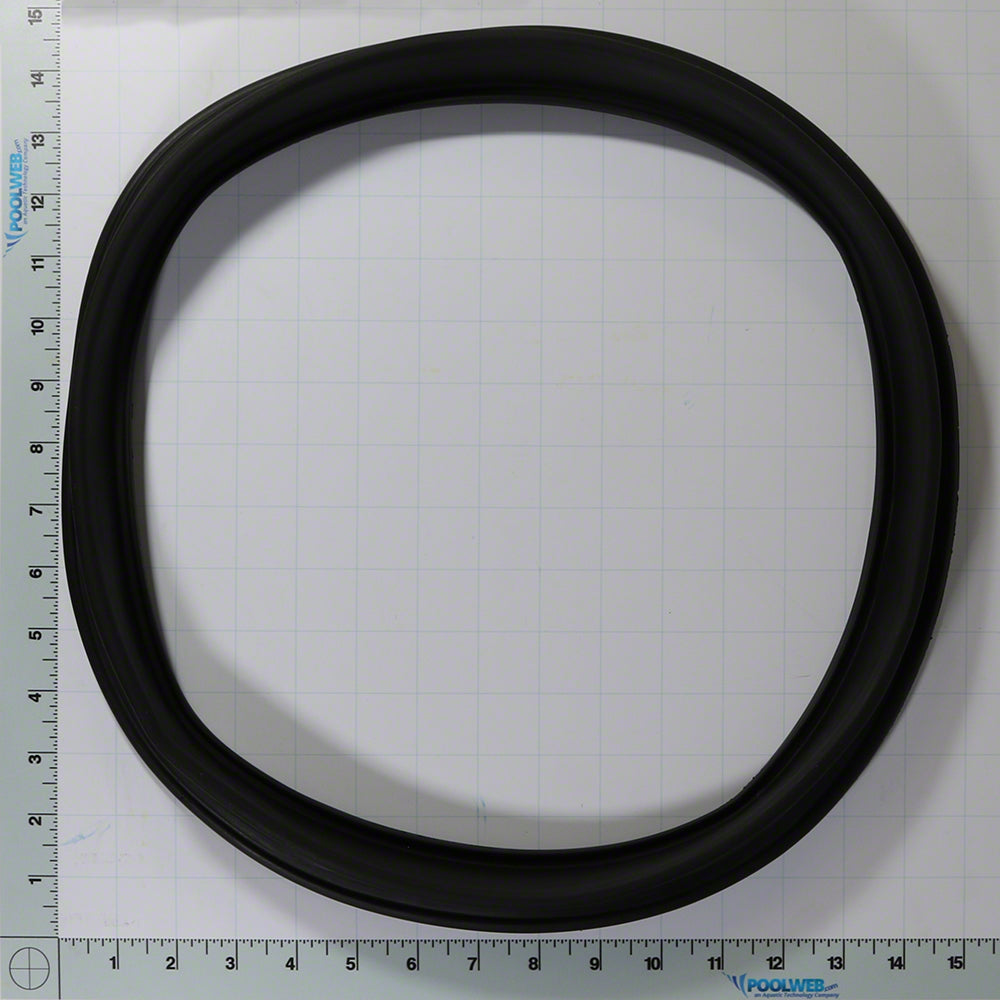 Diaphragm Gasket for Perflex EC65/75 Filters