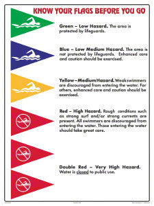 Know Your Beach Flag Reference Sign - 30 x 24 Inches on Styrene Plastic