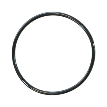 Union Adapter O-Ring