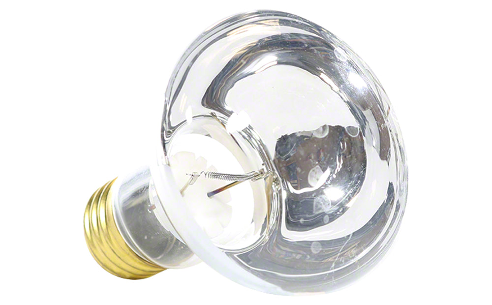 AstroLite II Compatible Light Bulb - 100 Watts 12 Volts - R-20 Spa