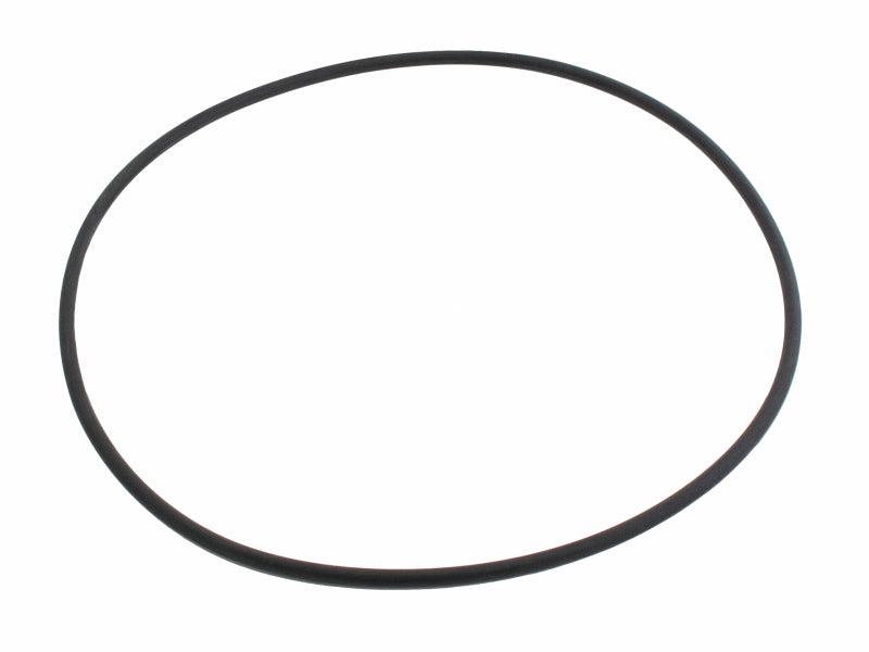 SwimClear Lid O-Ring