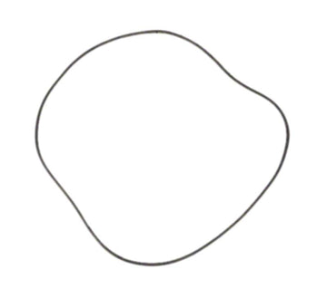 American 18 Inch Tank O-ring for Filter prior to 11-94