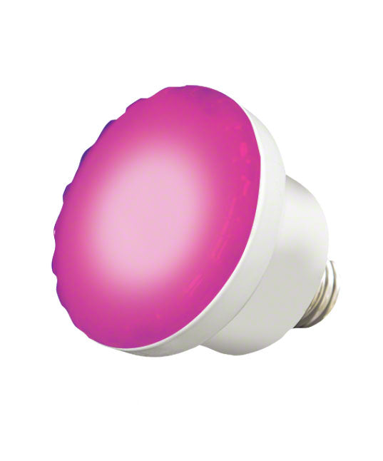 ColorSplash LED Spa Lamp RGBW - 12 Volts