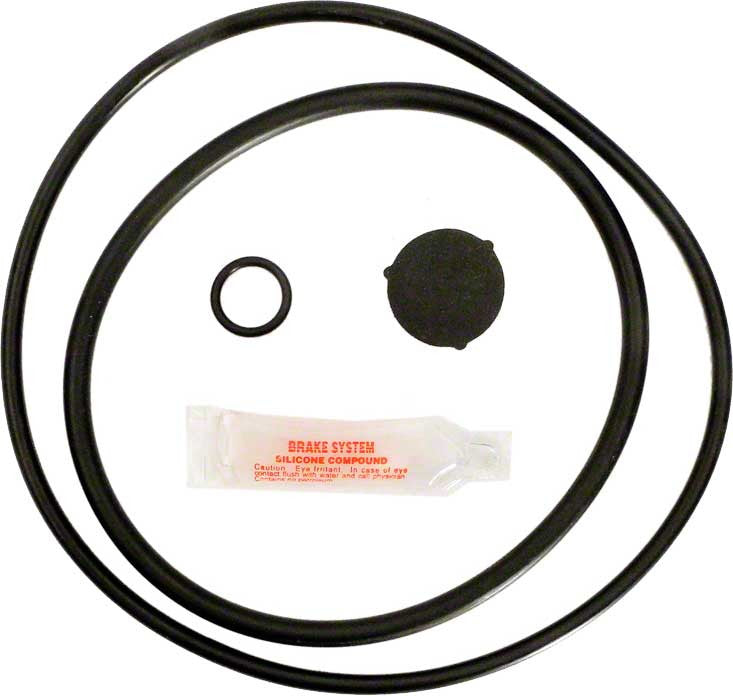 Hayward Pro Series Filter ORing Kit