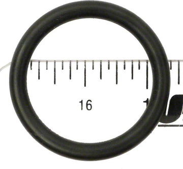 Check Valve O-Ring for Dynamic Series Rainbow #213