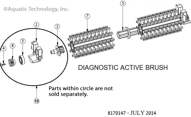 Dolphin Active Brushes - Replacements