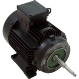 5 HP 95-IX Speck Pump Motor - 1 Phase - 208-230 Volts