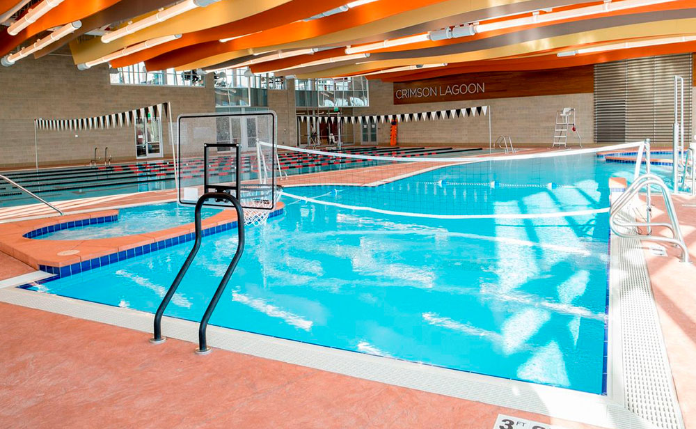 Dual Post Pool Basketball Hoop Game - 304L Powder Coated