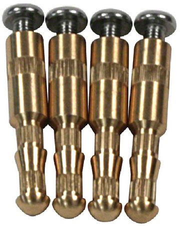 Brass Inserts and Screws for Suction Outlet Retrofits - Pack of 4