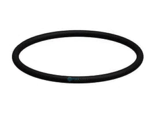 ChemStar CH100 Chlorinator O-Ring