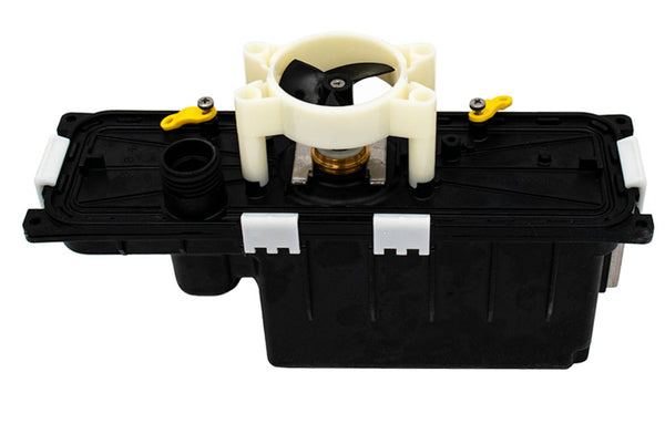 DL99953051EX-I_grande.jpg?v=