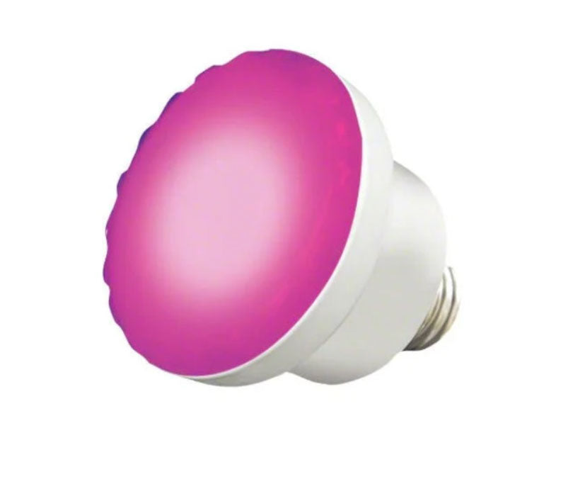 ColorSplash G4 LED Spa Lamp RGBW - 12 Volts