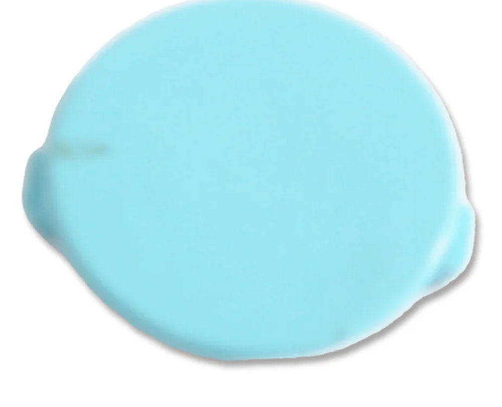 Dolphin S1 Wheel Plug - Turquoise