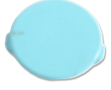 Dolphin Active/S1 Wheel Plug - Turquoise