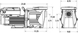 Power Defender VS 1.4 HP Pump 115/230 Volts - 2 x 2 Inch