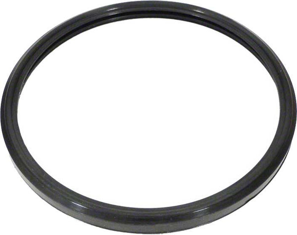 SPX0580Z2 - Astrolite/Duralite Lens Gasket - Hayward