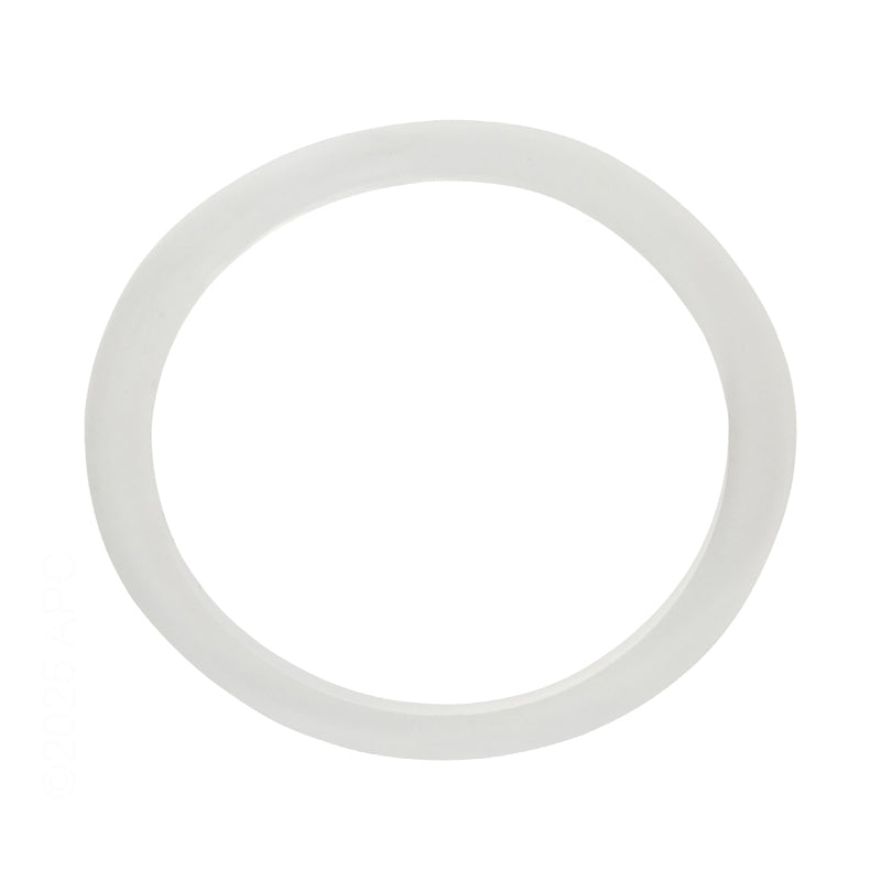 Waterway Crystal Water Filter Gasket for 2-1/2 Inch Threaded Coupler