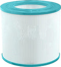 Hurricane Filter Cartridge for Pentair Clean and Clear 50, Predator 50
