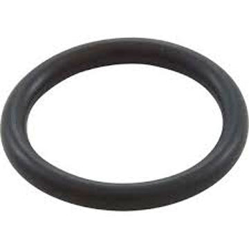 ACF Cartridge Filter Drain Plug O-Ring