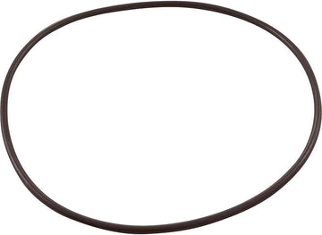 ACF Filter Lid O-Ring