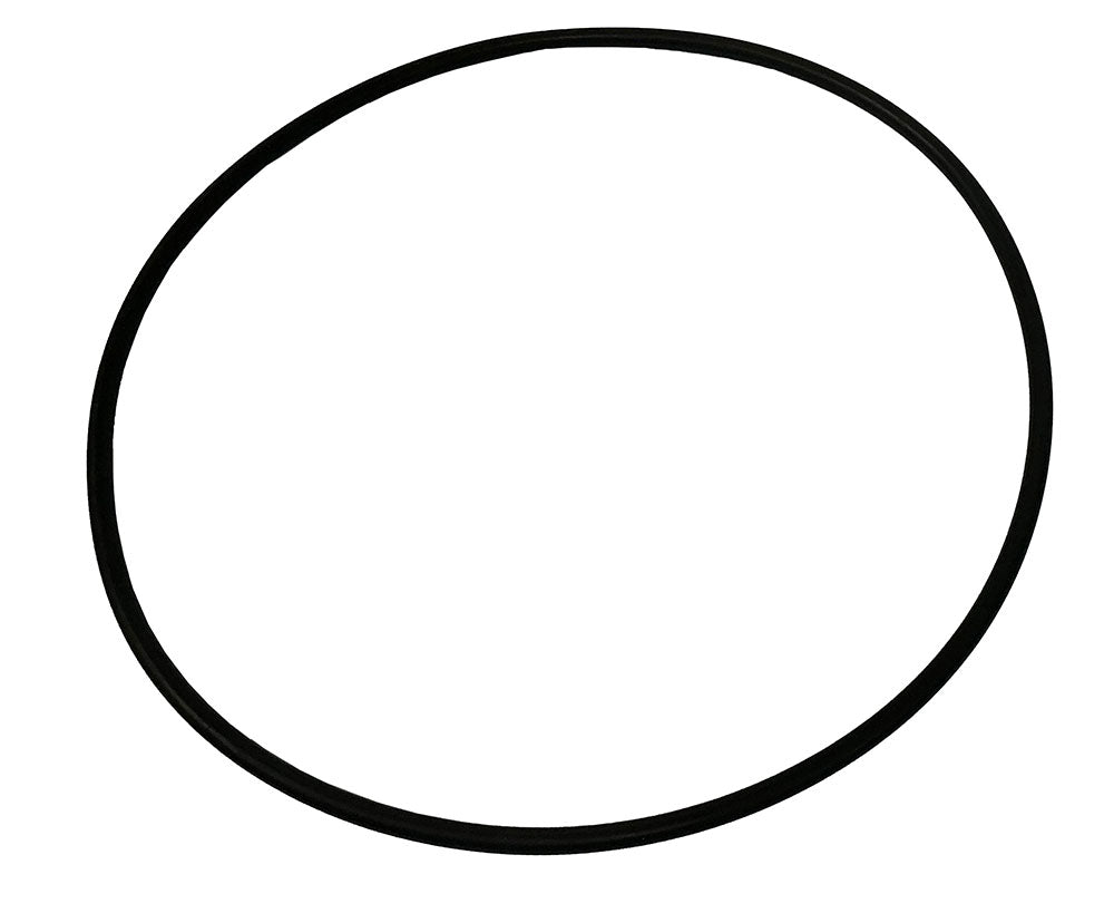 SW/SWC RSW Strainer O-Ring for 10 Inch Strainers - 2009-2015