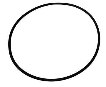 SW/RSW Strainer O-Ring for 4 Inch Strainers - 2015 and After