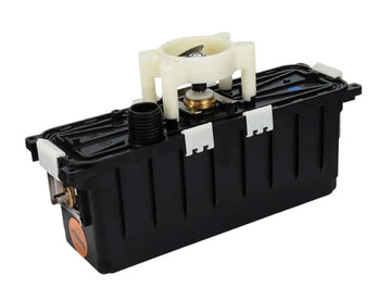 Dolphin Dynamic EX Motor