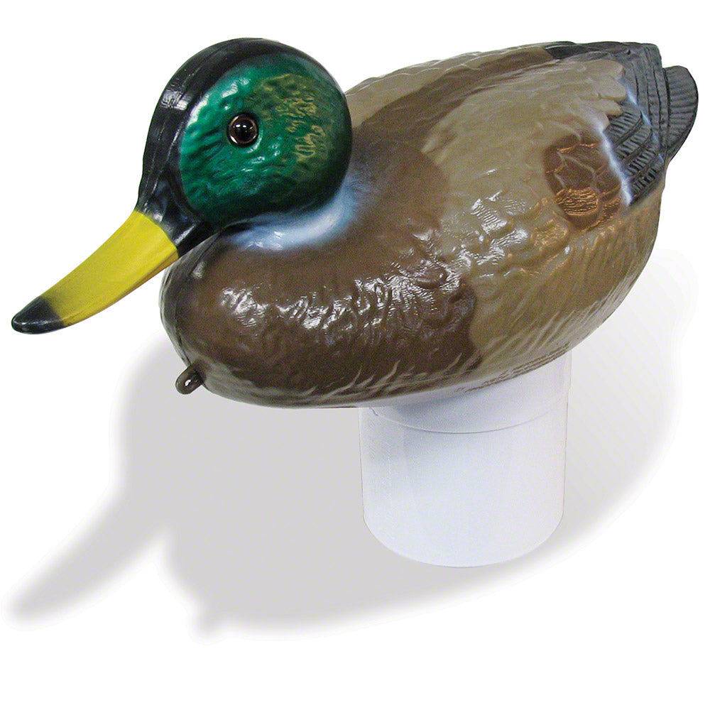 Mallard Duck Floating Chlorine Dispenser
