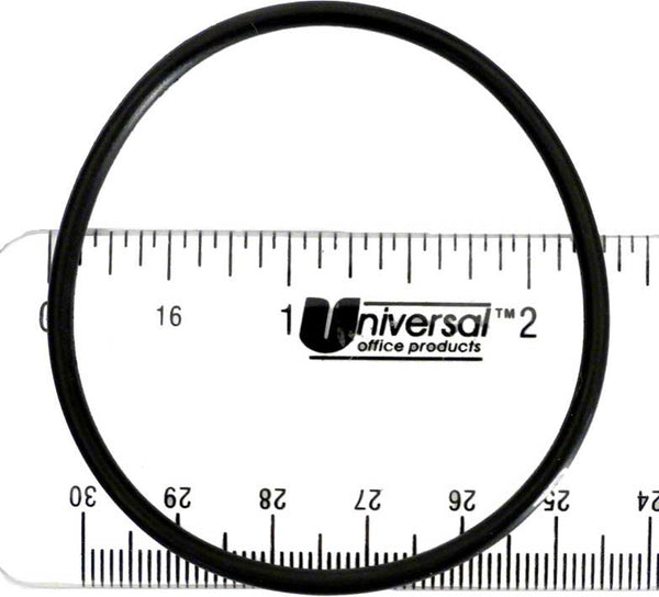 59000600 - FNS Plus Stand Pipe O-Ring - Pentair
