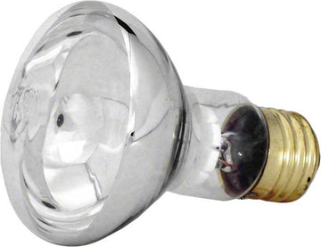 AstroLite II Light Bulb - 100 Watts 12 Volts - Spa R-20