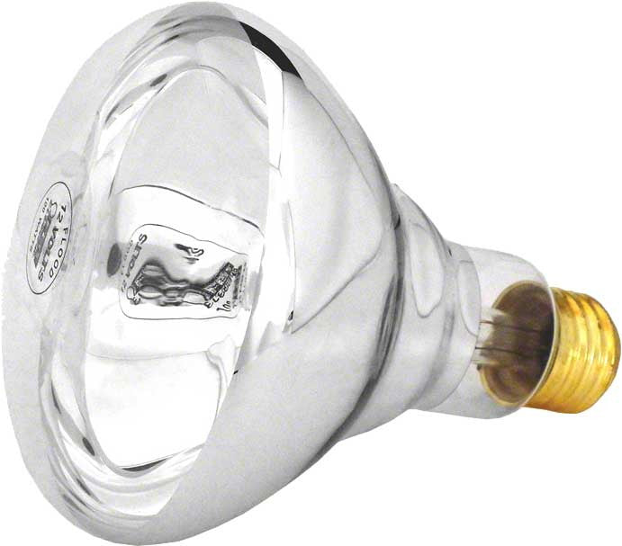 AmerLite/SwimQuip Light Bulb - 100 Watts 12 Volts - Reflector Flood