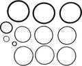 CV/CL/DEV/DEL Filter O-Ring Kit