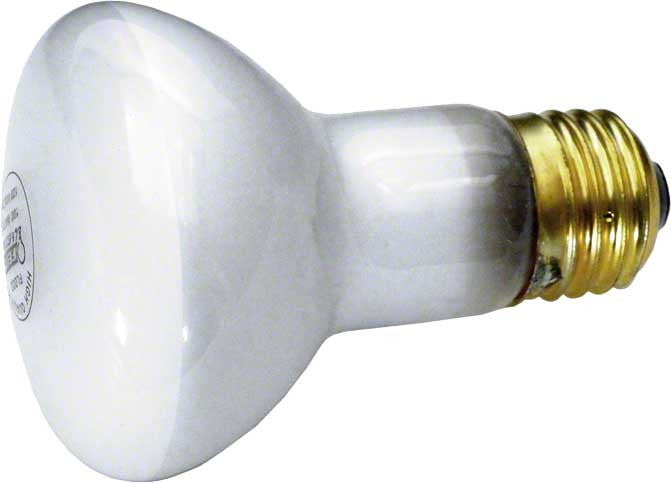 Flood Lamp for Pro Series Small White Light - 100 Watts 120 Volts