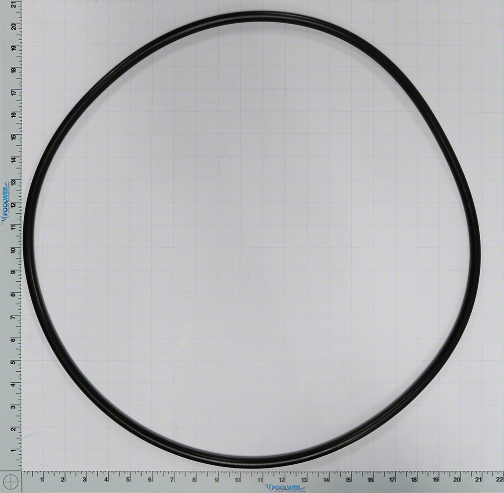 For Pentair 39010200 Tank Clamp O-Ring Replacement Pool - Foto 5