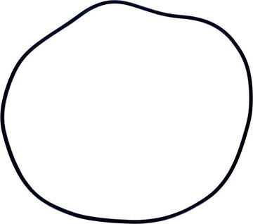 Swimquip 20 Inch Tank O-Ring