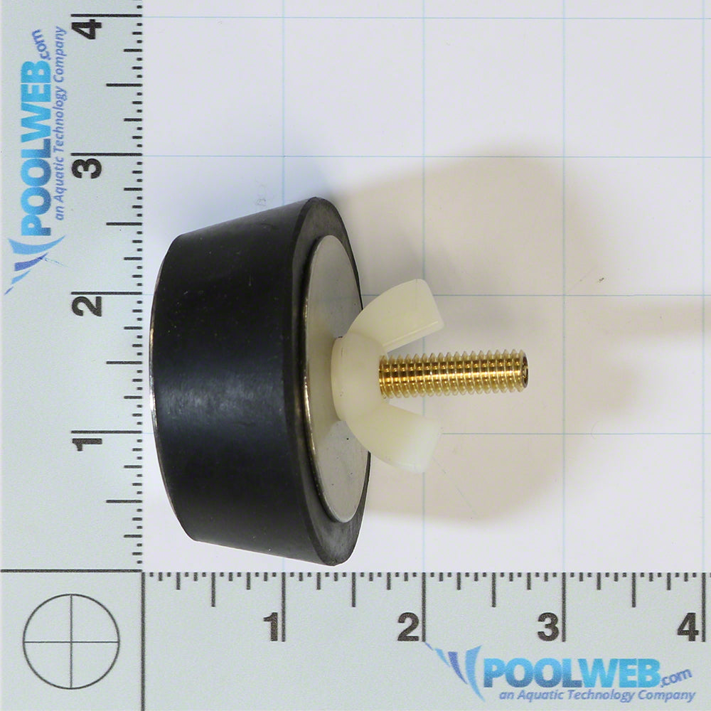 Poolweb Winter Pool Plug for 2 Inch Fitting with Blow Thru Valve - # 12