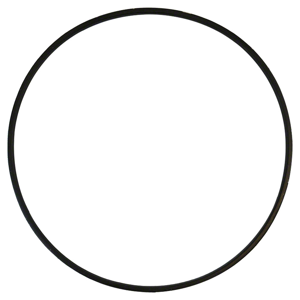 DEX2422Z2 SwimClear Filter Tank ORing Metal Reinforced Hayward