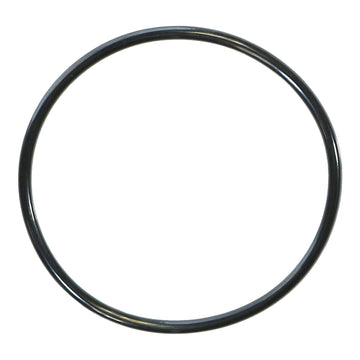 Nautilus 2 Inch Plug O-Ring for 195829