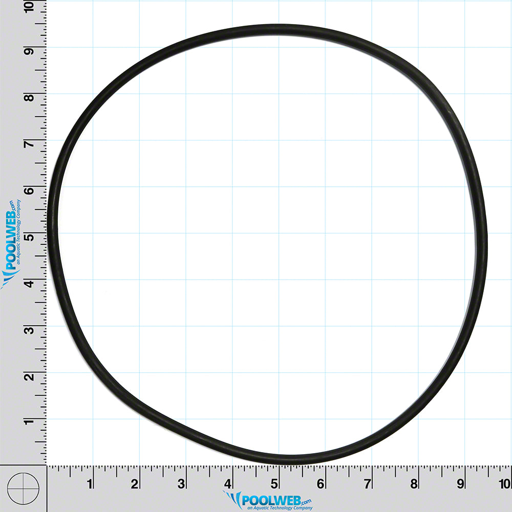 Clean and Clear/Warrior/EasyClean Tank Body O-Ring