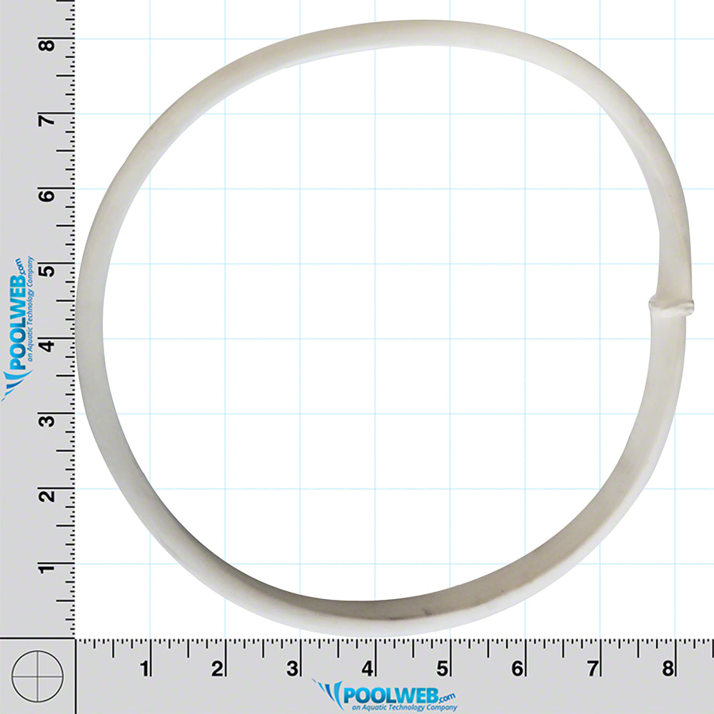 R36002 Rainbow VacMate Gasket Pentair