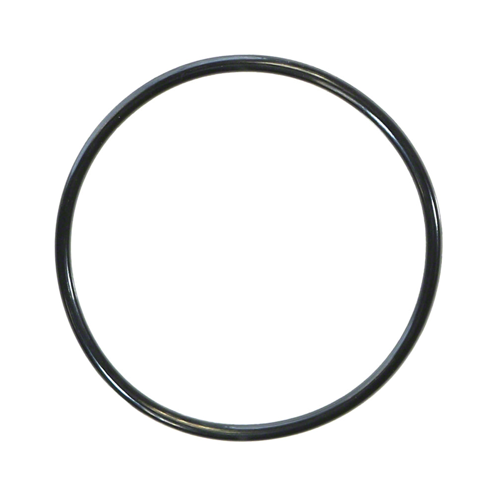 Filter and Fitting O-Ring