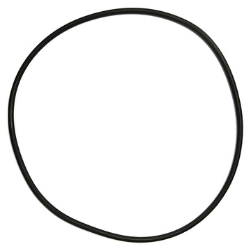 Generic Filter Tank O-Ring for S200