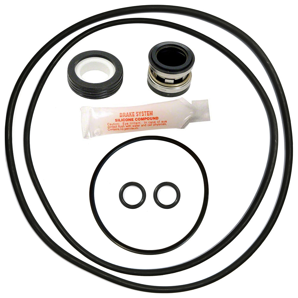 Magnum Pump Repair Kit With Seal and O-Rings