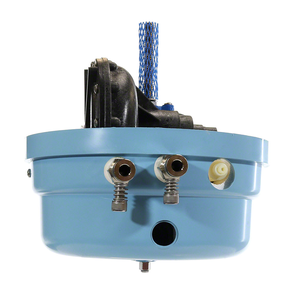 Replacement Head Blue