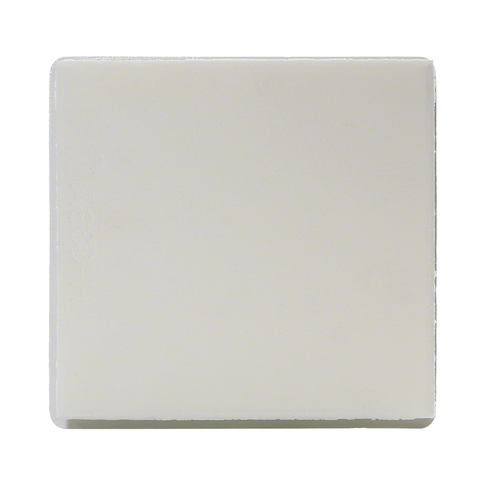 Aboveground Standard Winter Skimmer Plug - 5-5/8 x 5-7/8 Inches