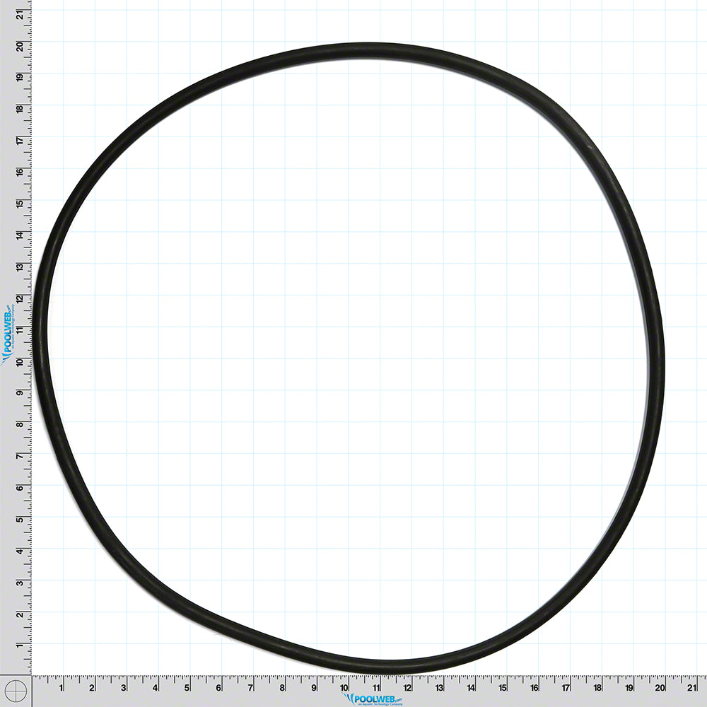 SX200Z7 S200 Filter Tank ORing Hayward