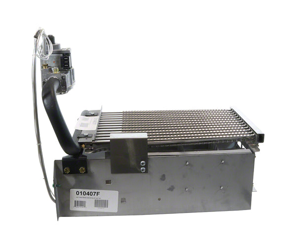 010407F - Burner Tray 206 With Valve Natural Gas IID Kit - Raypak