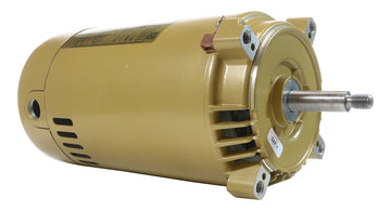 1-1/2 HP Pump Motor - 1-Phase 50 Hz