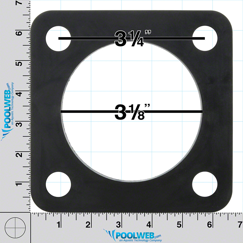 Gasket Trap Sta-Rite